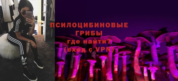 ALPHA PVP Семёнов