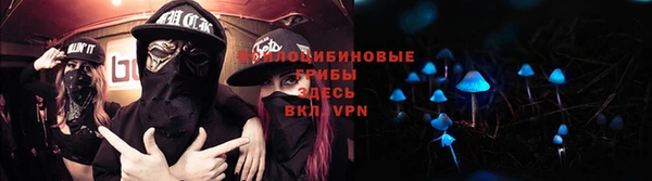 прущая мука Семилуки