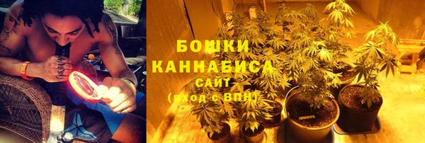 ALPHA PVP Семёнов