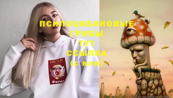 ALPHA PVP Семёнов