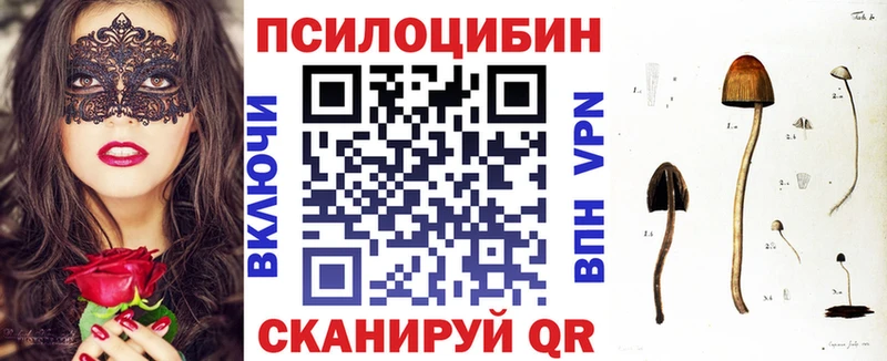 хочу наркоту  Барнаул  Галлюциногенные грибы мицелий 